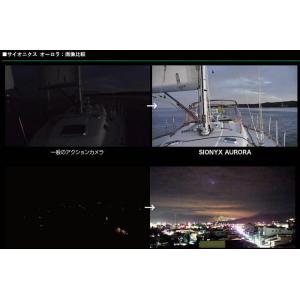 サイオニクスオーロラ プロ フルカラーナイトビ...の詳細画像3