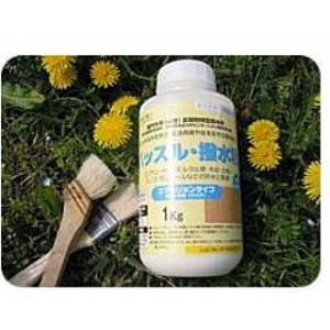関西ペイント AJパーフェクトコートセット 500ml （ガラスコーティング