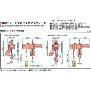 クレーン　JBCW1020C 電動チェーンブロック付ジブクレーン    スーパーツール