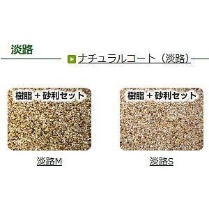 ナチュラルコートS 樹脂のみ 1kg ( 施工...の詳細画像4