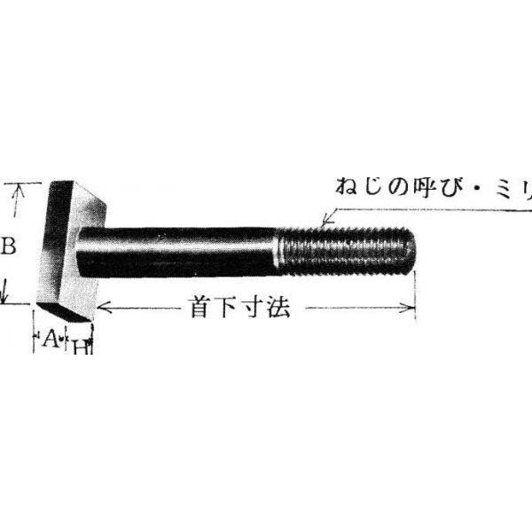 W3/4×100　長方角ボールト（ウイットねじ）35×50角         杉本