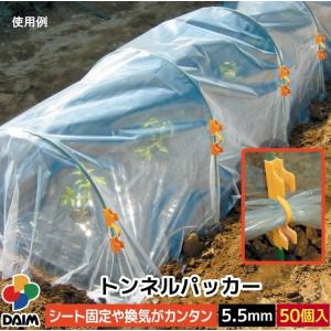 DAIM トンネルパッカー 50個入 オレンジ...の詳細画像2