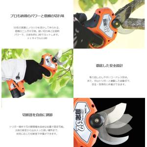 ニシガキ N-772 太丸剪定32 バッテリ+...の詳細画像1