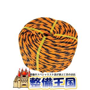 トラロープ Φ10mm 100m