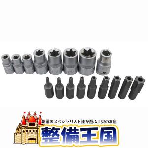 17pc いじり止め トルクスソケットセット タイプR 31673