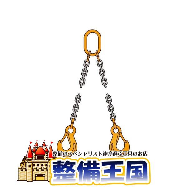 ペワッグ 2本吊りチェーンスリングセット 3.2t×2.0m 36403