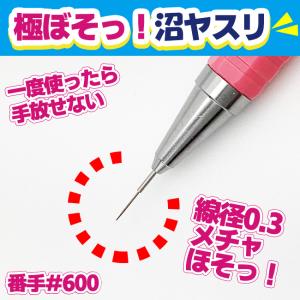 アイガーツール 極ぼそッ！沼ヤスリ スターターセット EDNー4SP