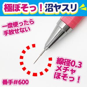 アイガーツール 極ぼそッ！沼ヤスリ 線径0.3Φ #600 EDN3-600P ペン付き｜TOOLS ONLINE SHOP ヤフー店