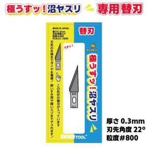 ヤスリセット アイガーツール 極ぼそッ！沼ヤスリ スターターセット EDNー4SP ペン