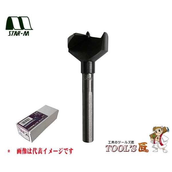 スターエム 家具・建具 No.13A 丁番錐A 先ネジタイプ 25mm 13A-250