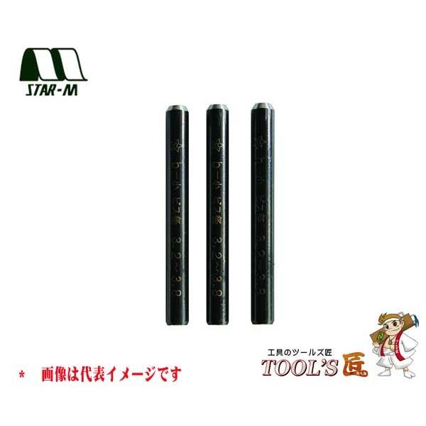 スターエム 補助具 No.5040 折れたビス抜き 専用ピン小 3本入 5040-B1