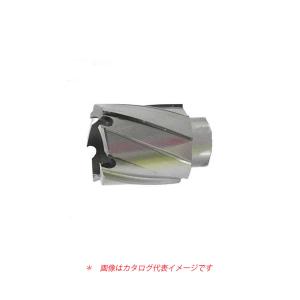 Jさま専用です マキタ（makita） 小型磁気ボール盤 HB270用 ロータブローチ・カッタ