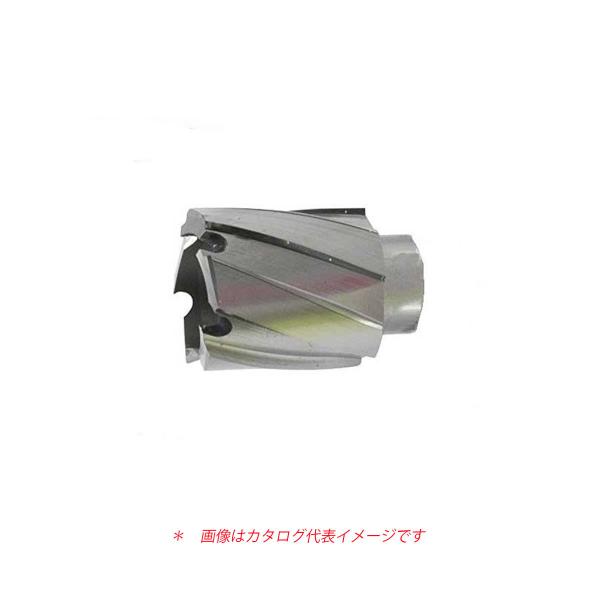 マキタ 小型磁気ボール盤 HB270用 ロータブローチ・カッタ 17.5mm ハイス鋼環状刃物／最大...