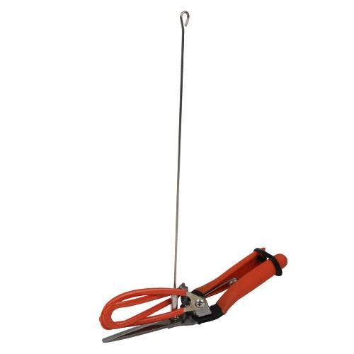 サボテン  アスパラ収穫鋏  No.AG-21