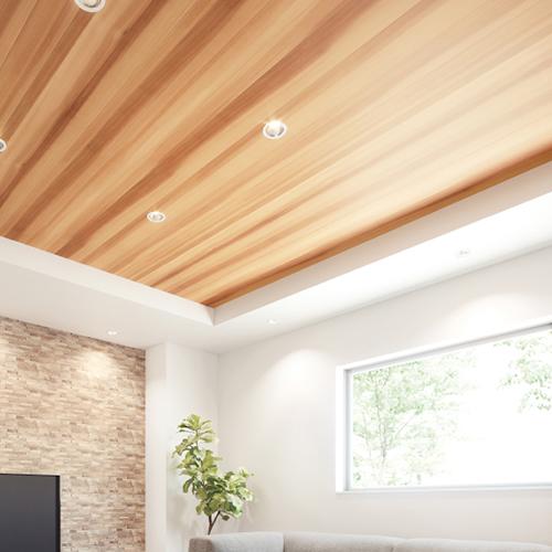 サンゲツ/生のりつき壁紙・クロス FE76588