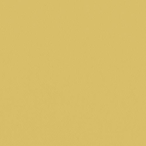 リリカラ/生のりつき壁紙・クロス LV2022