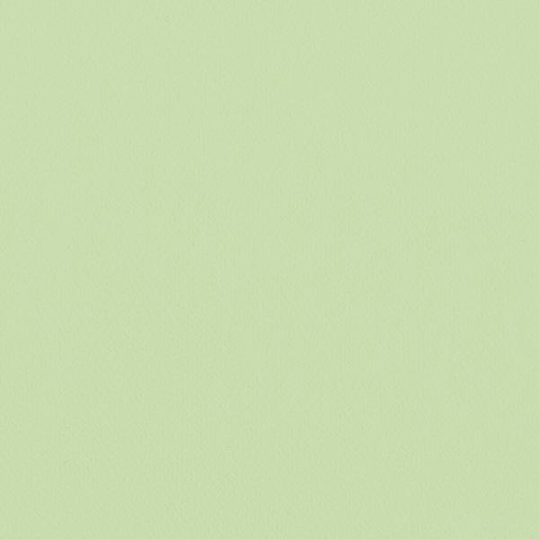 リリカラ/生のりつき壁紙・クロス LW100