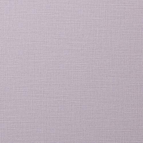 ルノン/生のりつき壁紙・クロス RH9139