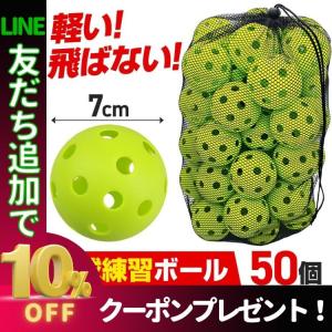 野球 練習 ボール 穴あき 50個 収納 ボール 入れ ケース