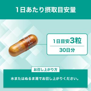 DHC シトルリン 30日分の詳細画像3