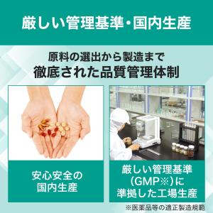 DHC シトルリン 30日分の詳細画像4