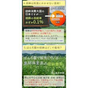 Honjien tea 黒胡麻麦茶 国産 ティ...の詳細画像3