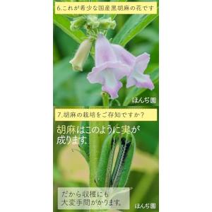Honjien tea 黒胡麻麦茶 国産 ティ...の詳細画像4