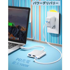[2026高機能版]USB Type-C HD...の詳細画像3
