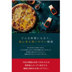 生きる蜂蜜 280g 生蜂蜜 専門店【九州蜂の...の詳細画像2