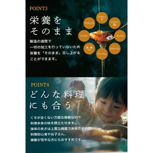 生きる蜂蜜 280g 生蜂蜜 専門店【九州蜂の...の詳細画像5