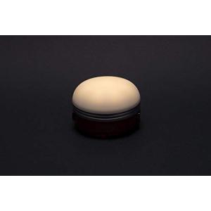 Coleman(コールマン) ハンギングEライ...の詳細画像3