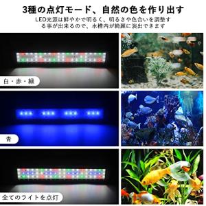 水槽 ライト タイマー付き LEDライト60個...の詳細画像2