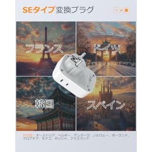 TESSAN 変換プラグ 韓国海外 SEタイプ...の詳細画像2