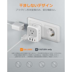 TESSAN 変換プラグ 韓国海外 SEタイプ...の詳細画像5