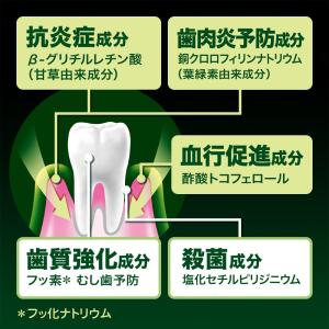 ディープクリーン撰 濃密クリームハミガキ 10...の詳細画像5