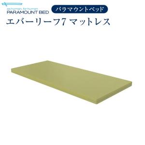 パラマウントベッド 介護ベッド 電動ベッド エバーリーフ７