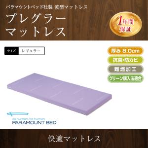 パラマウントベッド 介護ベッド 電動ベッド プレグラーマットレス