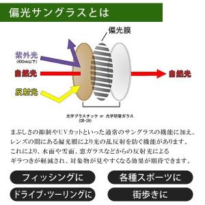Coleman 偏光サングラス 正規品 コール...の詳細画像4