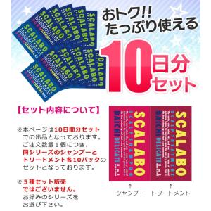 薬用スカルプ 10日分 ノンシリコン シャンプー＆トリートメント 使い切りパック 旅行 まとめ買い トライアル ヘアケア 出張 ジム 送料無料/メール便 S◇ 1day｜TOP1!プライス