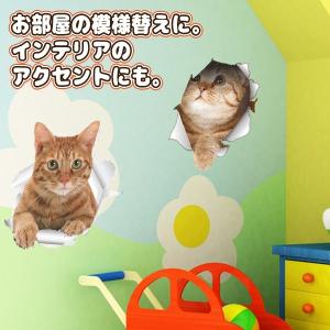 ウォールステッカー 猫 5枚セット 壁から飛び...の詳細画像4