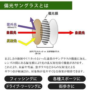 クリップサングラス Coleman 偏光 メガ...の詳細画像3
