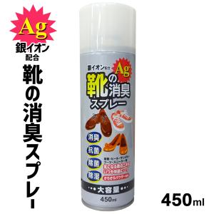 靴用 消臭スプレー 450ml 銀イオン Ag 消臭 シューケア用品