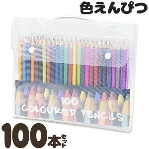 色鉛筆 100本セット 収納ケース入り 豊富なカラー
