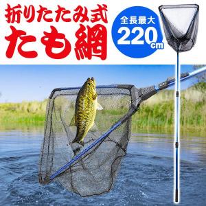 送料無料 タモ網 大型 玉網 魚捕り 全長220cm ロングサイズ 長さ3段階 伸縮 折りたたみ 釣具 フィッシング 道具 川 海釣り ランディングネット S◇ たも網DL