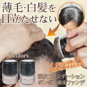 ヘアパウダー 頭皮用 ヘア ファンデーション 白髪 薄毛 汗に強い ヘアカラー 男性 女性 生え際 分け目 白髪 ハゲ隠し 送料無料/定形外 S◇ ポンポンファンデ｜top1-price