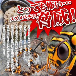 ハチの巣を作らせない 予防 ダミー ハチの巣 ...の詳細画像2