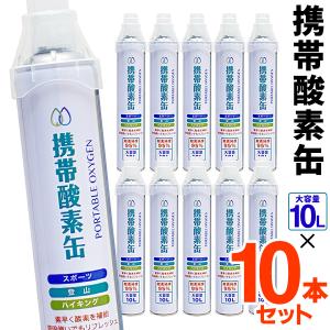 非公開 送料無料 S◇ 酸素DL×10本