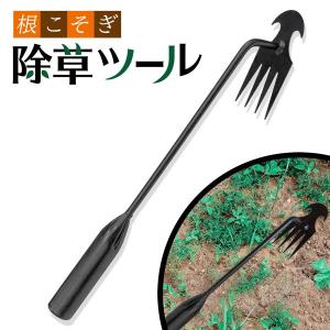 top1-price_20240711-jo-c