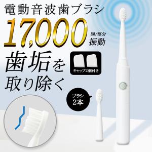 電動歯ブラシ 替えブラシ4本付き 本体 音波振動 超音波 歯ブラシ 電動