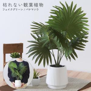 観葉植物 パナマソウ 鉢付き セラミックポット 人工観葉植物 フェイクグリーン 卓上 グリーン インテリア おしゃれ ギフト 母の日 送料無料 80SX◇ パナマソウ